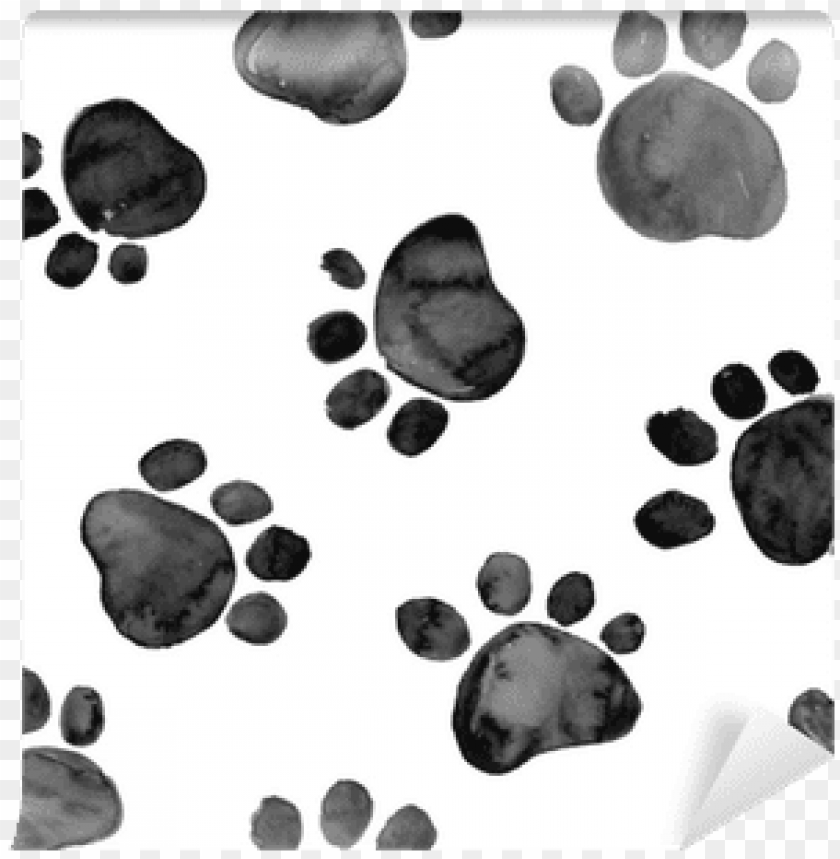 Watercolor animal tracks Clipart. Wild animals footsteps PNG By