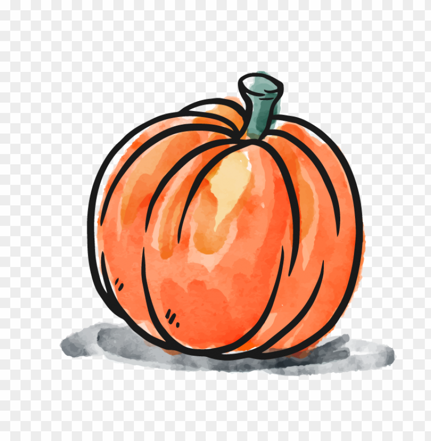 Watercolor Orange Drawing Pumpkin PNG Image With Transparent Background