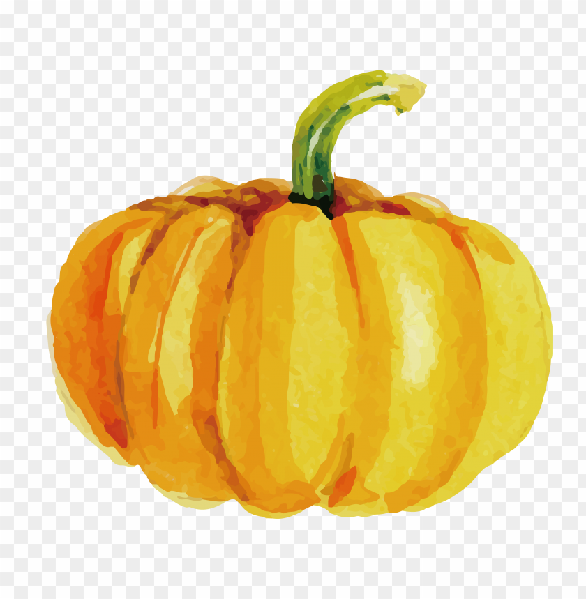 watercolor orange pumpkin high resolution PNG image with transparent background@toppng.com