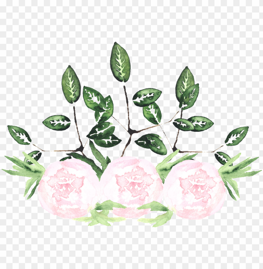 watercolor painting PNG transparent with Clear Background ID 78569