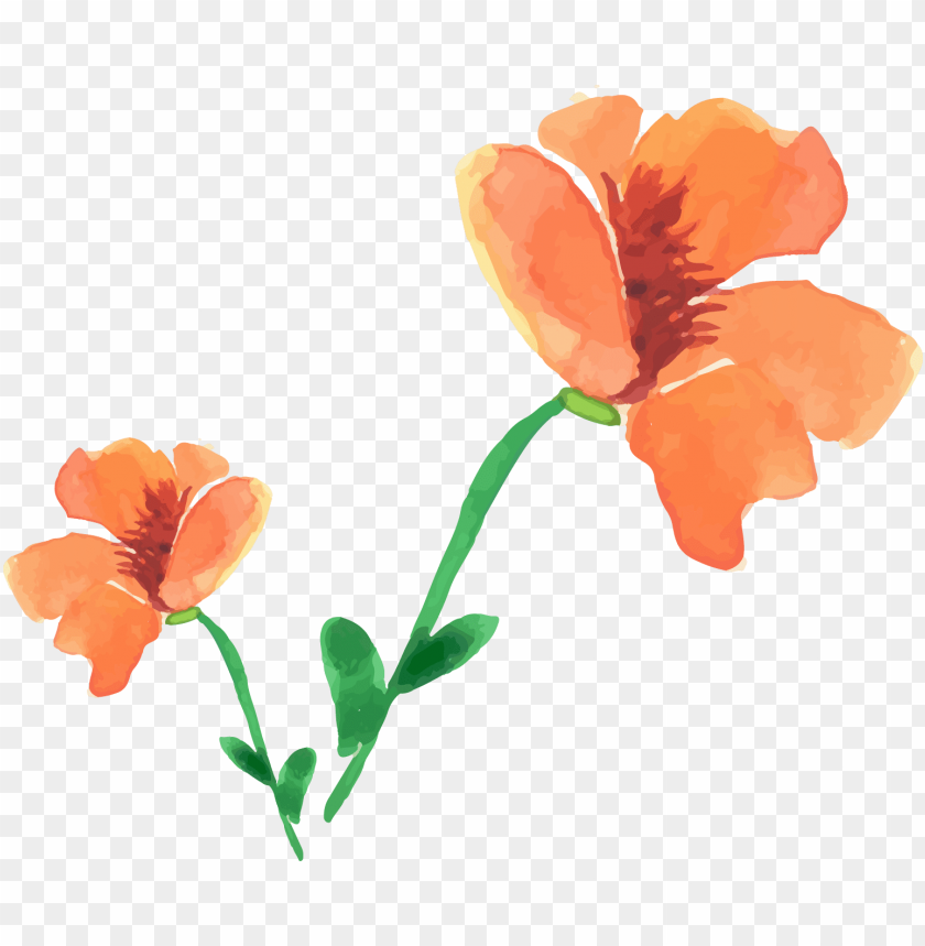 free PNG watercolor painting PNG image with transparent background PNG images transparent