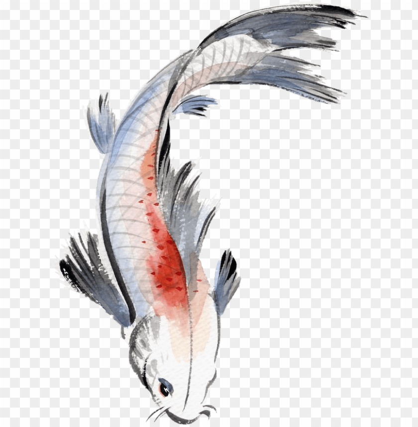 free PNG watercolor painting fish koi koifish watercolour japane - chinese fish painti PNG image with transparent background PNG images transparent