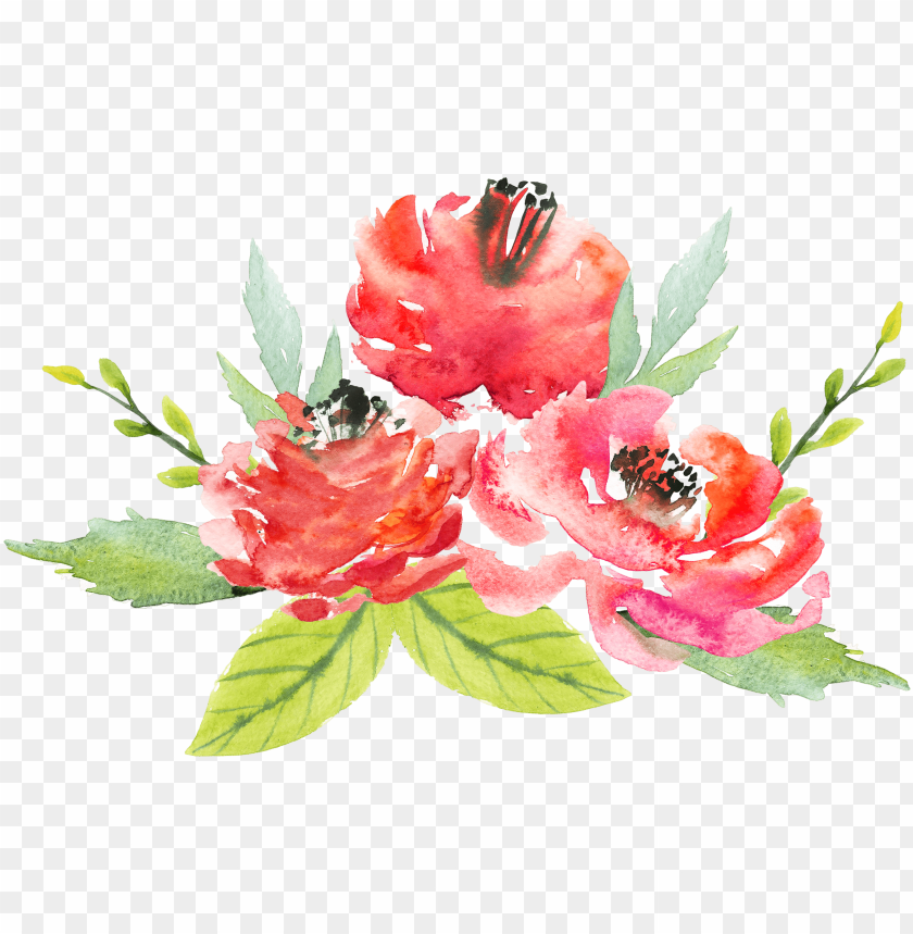 watercolor red flowers transparent PNG image with transparent background@toppng.com