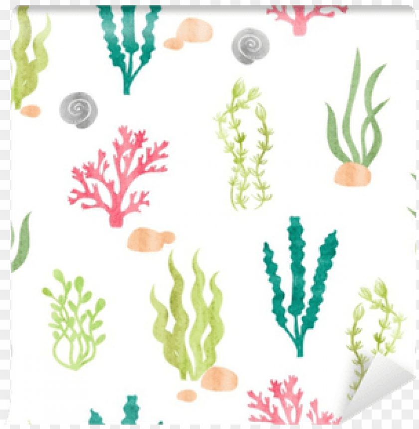 Watercolor Seamless Pattern With Corals Seaweeds Algas Marinas Para Cortar Png Image With Transparent Background Toppng