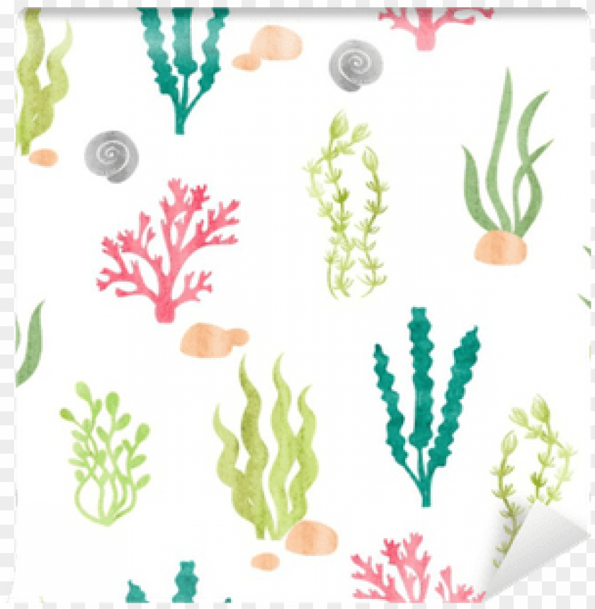 Watercolor Seamless Pattern With Corals Seaweeds - Algas Marinas Para Cortar PNG Transparent Background