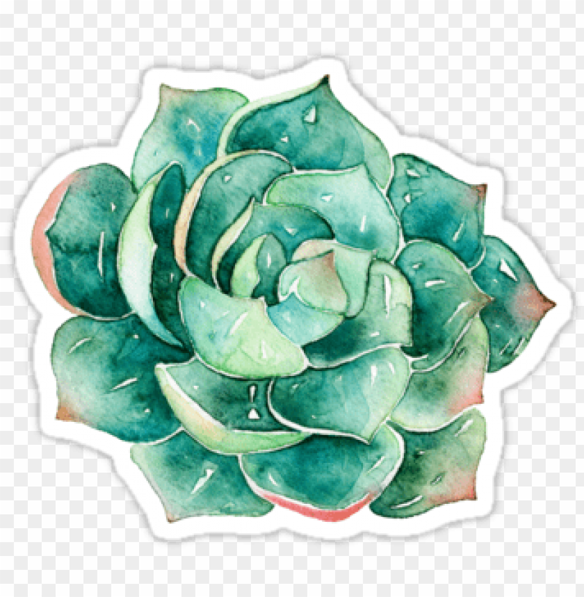 Succulents Sticker Decal