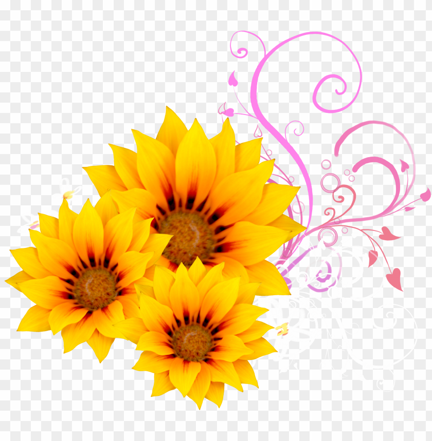watercolor flower, illustration, sunflowers, logo, water color, banner, petals