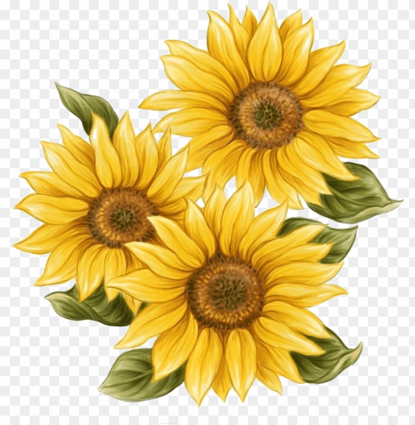 Sunflower Flower SVG