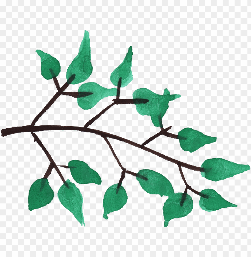 Watercolor Tree Branches Png Image With Transparent Background Toppng