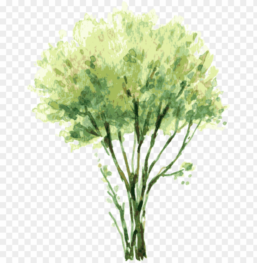 tree illustration, forest trees, watercolor tree, trees silhouette, trees, trees background