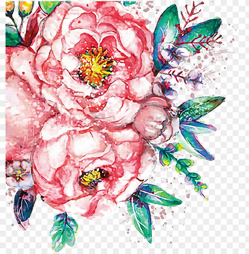watercolor flower, set, painting, painting wall, roses, painting house, paint brush