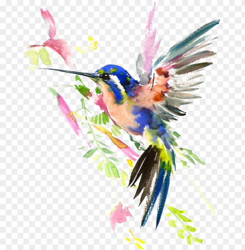 free PNG watercolour birds PNG image with transparent background PNG images transparent