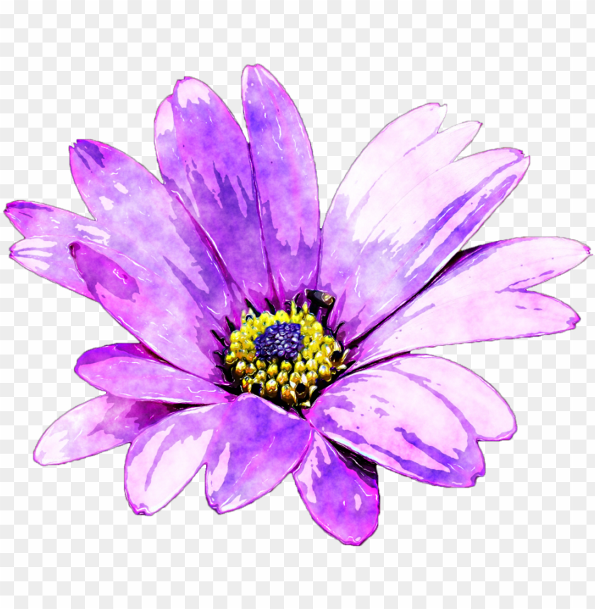 watercolour flower png image free stock watercolor purple daisy PNG transparent with Clear Background ID 194082