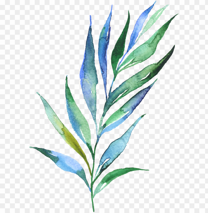watercolour watercolor plants, watercolour, leaves, - green plant watercolor  tattoo PNG image with transparent background | TOPpng