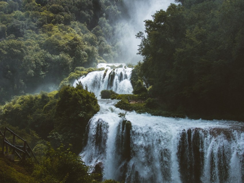 waterfall, forest, trees, landscape, wildlife