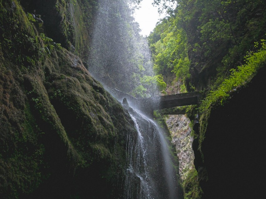 waterfall, rocks, trees, vegetation, forest