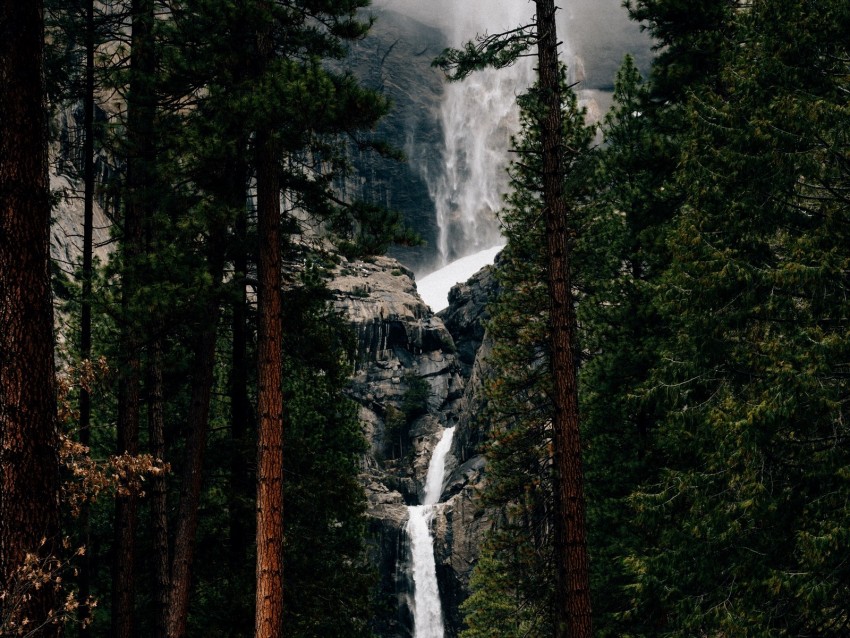 waterfall, trees, water, flow, break