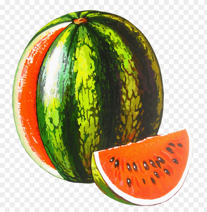 watermelon clipart png photo - 28082