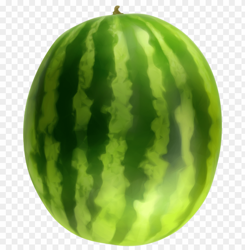 watermelon png clipart png photo - 35680