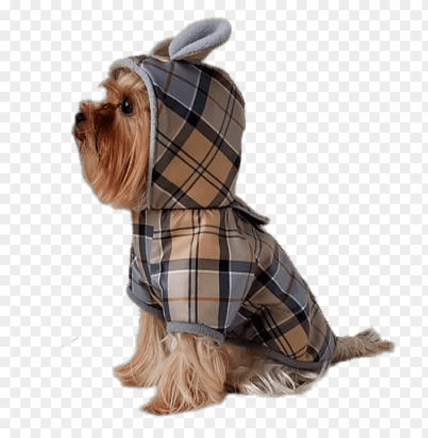 miscellaneous, dog outfits, waterproof dog coat, 