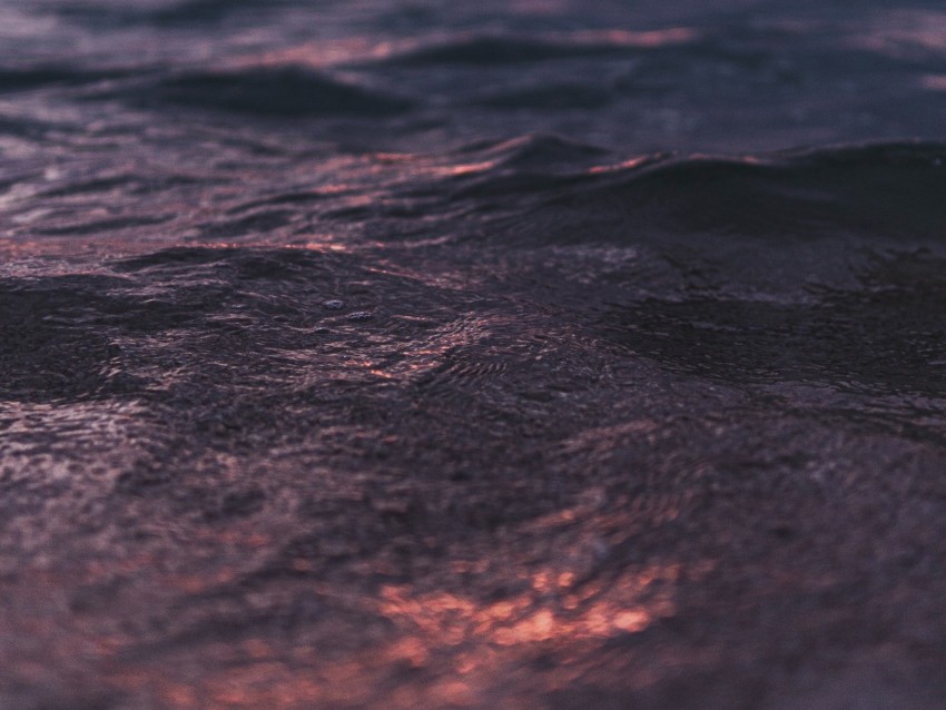 waves, ripples, sea, water, sunset