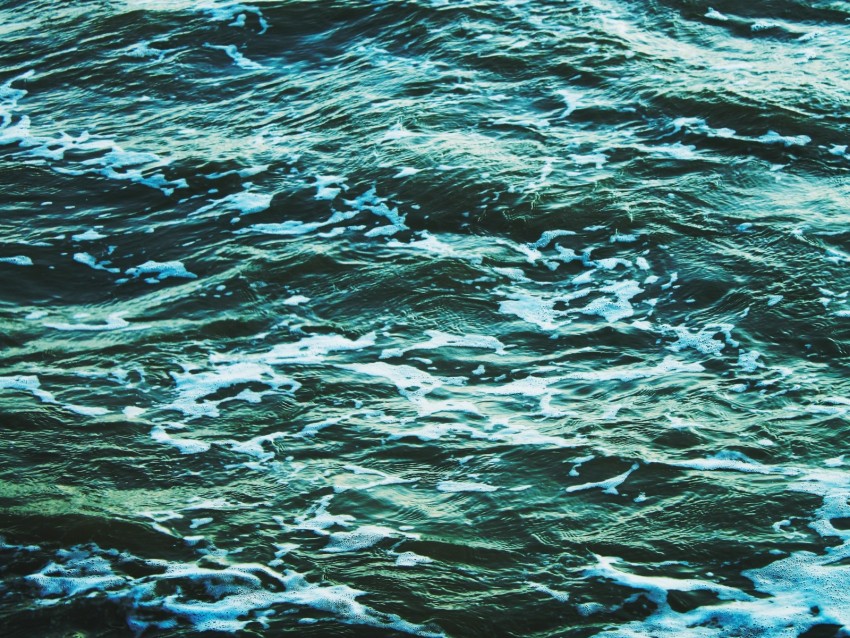waves, sea, water, ripples, foam