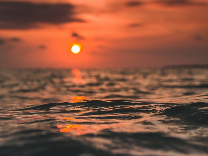 waves, sun, sunset, water, surface