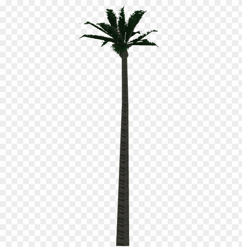 Wax Palm Tree Desert Palm PNG Image With Transparent Background