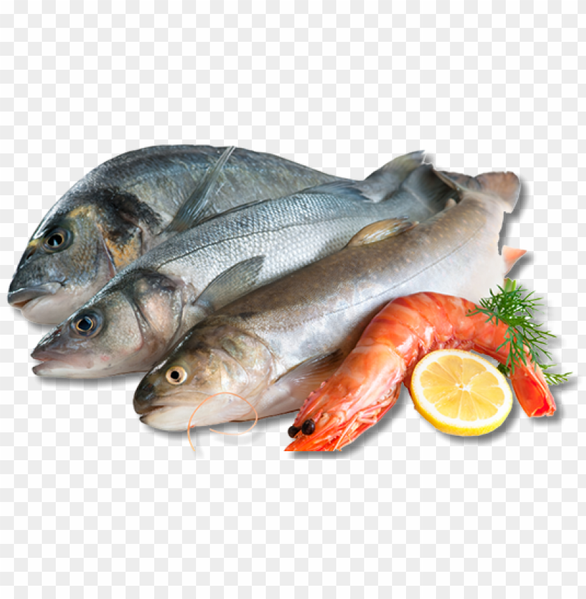 we also offer complimentary fish frying at all of our - fish and seafood PNG image with transparent background@toppng.com
