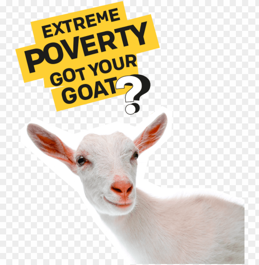 we paid for this goat goat PNG transparent with Clear Background ID 240090