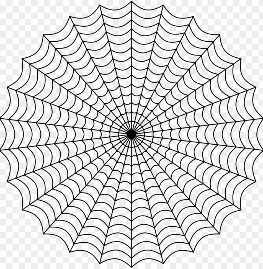 Web Of Spider PNG Image With Transparent Background | TOPpng