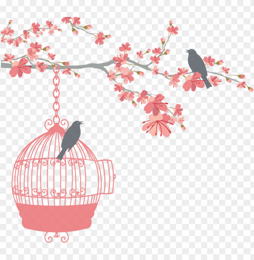 bird cage, phoenix bird, twitter bird logo, wedding couple, wedding cake, big bird