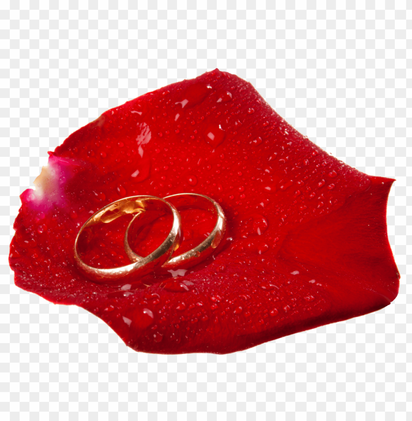art, clip, petal, rings, rose, wedding