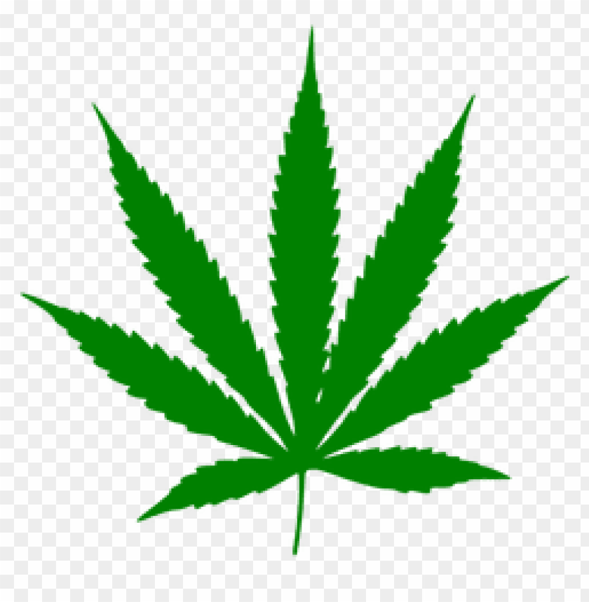 weed PNG transparent with Clear Background ID 97912