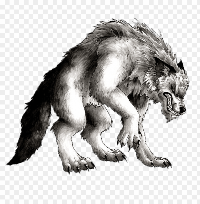 miscellaneous, werewolves, werewolf drawing, 