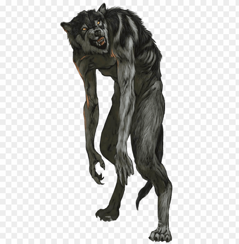 miscellaneous, werewolves, werewolf with long front paws, 
