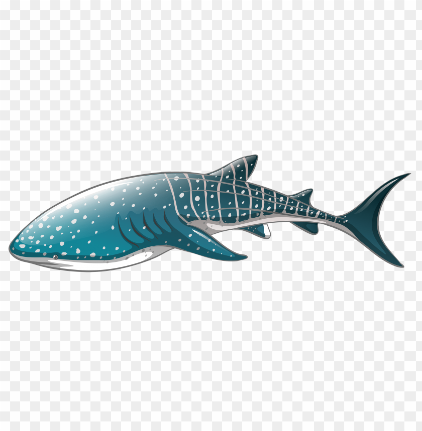 free PNG Download whale shark clipart png photo   PNG images transparent