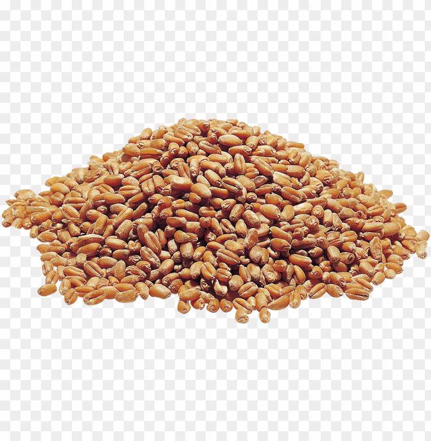 
wheat
, 
grain
, 
cereal
, 
seed
