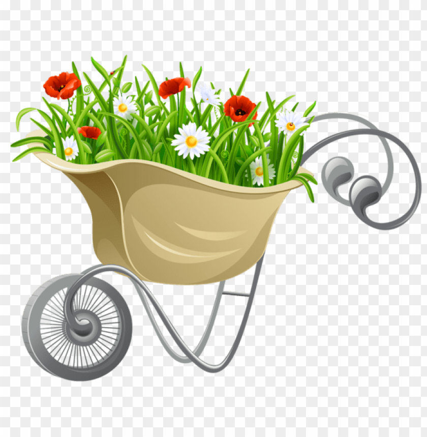 flowers, flowers png, spring png, flower png