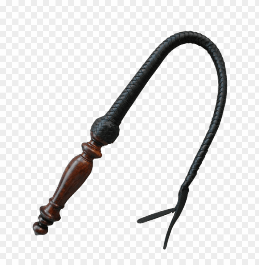 
whip
, 
whipstrike
, 
traditionally
, 
exert control
, 
leather

