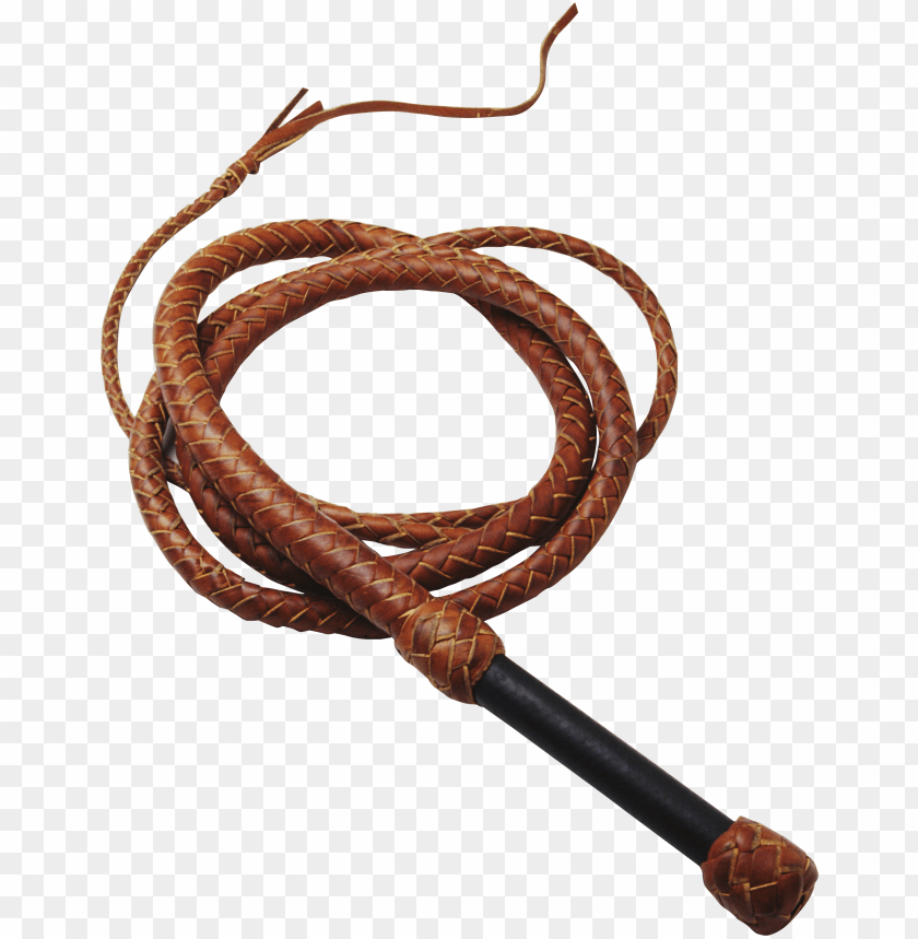 
whip
, 
whipstrike
, 
traditionally
, 
exert control
