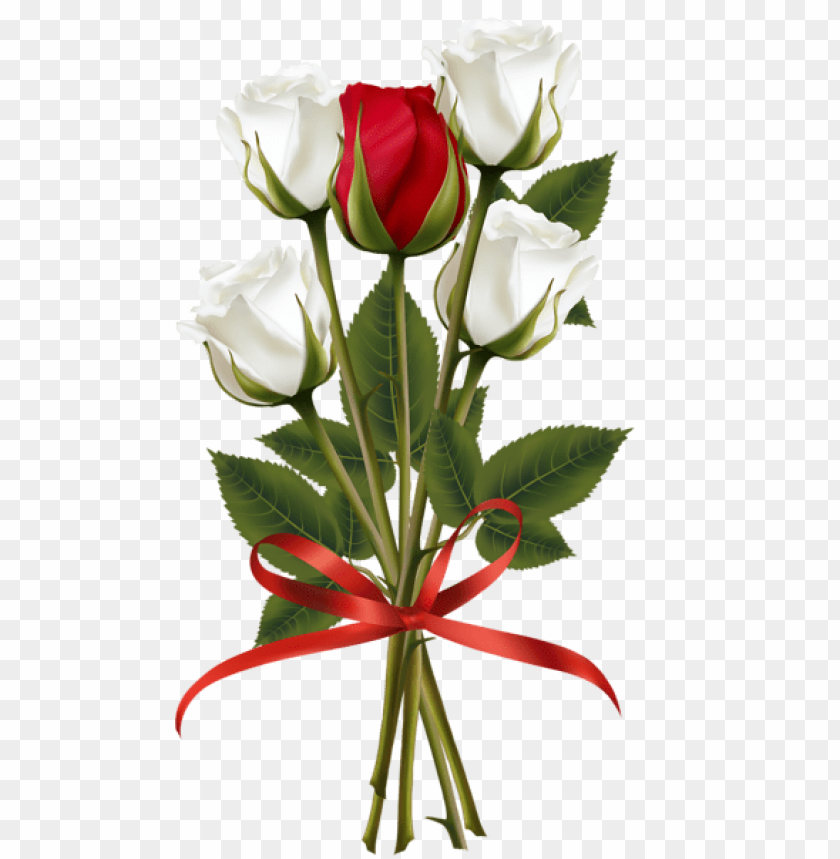 white and red rose bouquet transparent