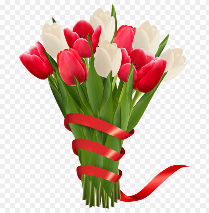 white and red tulips with ribbon