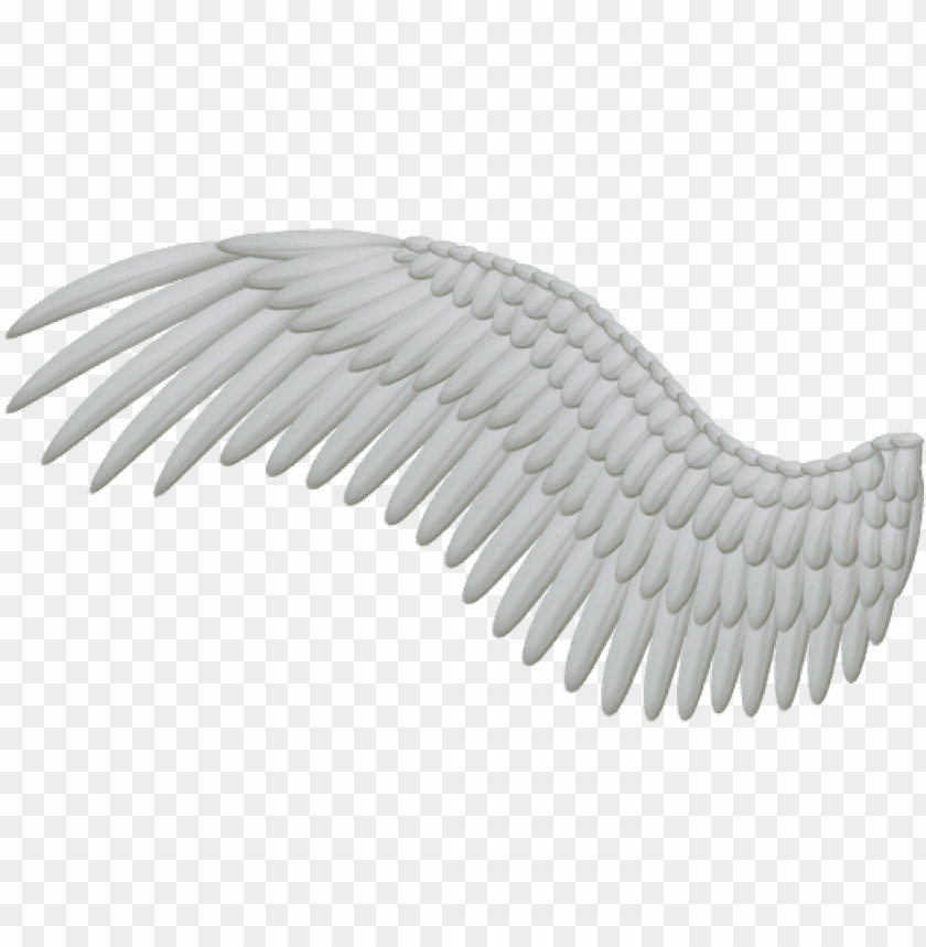 white angel wings PNG image with transparent background@toppng.com