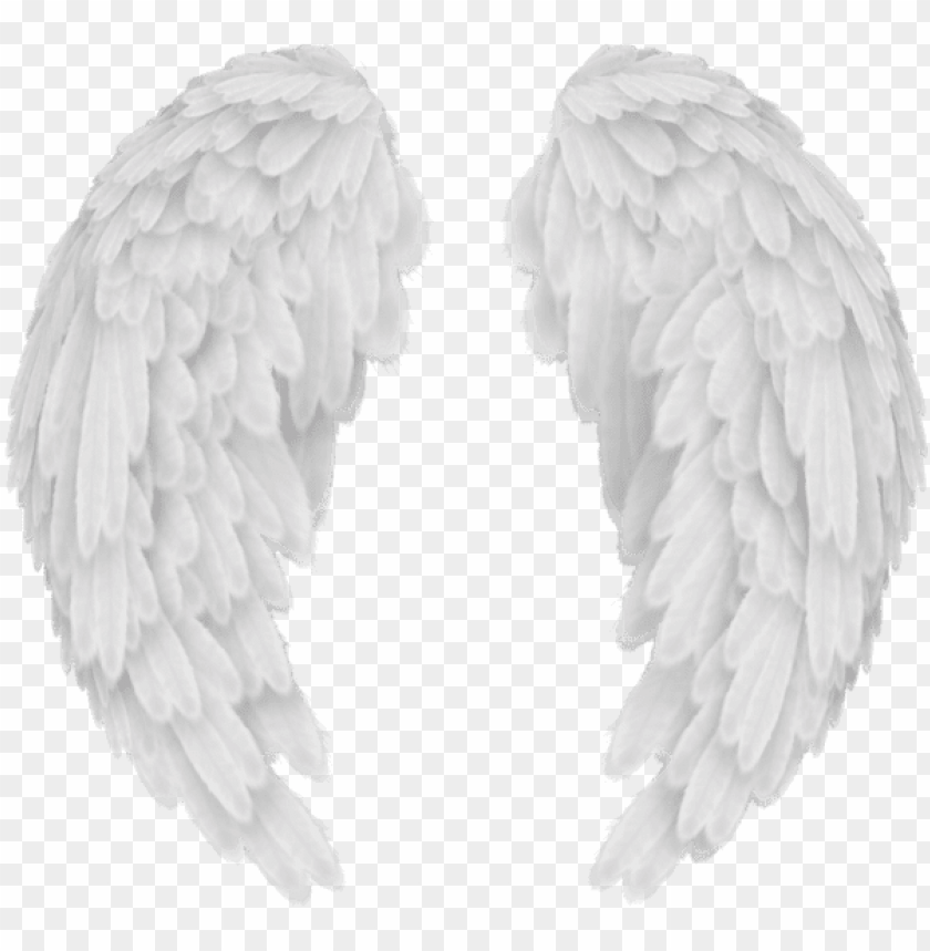 Download White Angel Wings Png Transparent Image Angel Wings No Background Png Image With Transparent Background Toppng