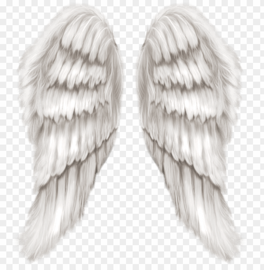 white angel wings transparent clipart png photo - 45689