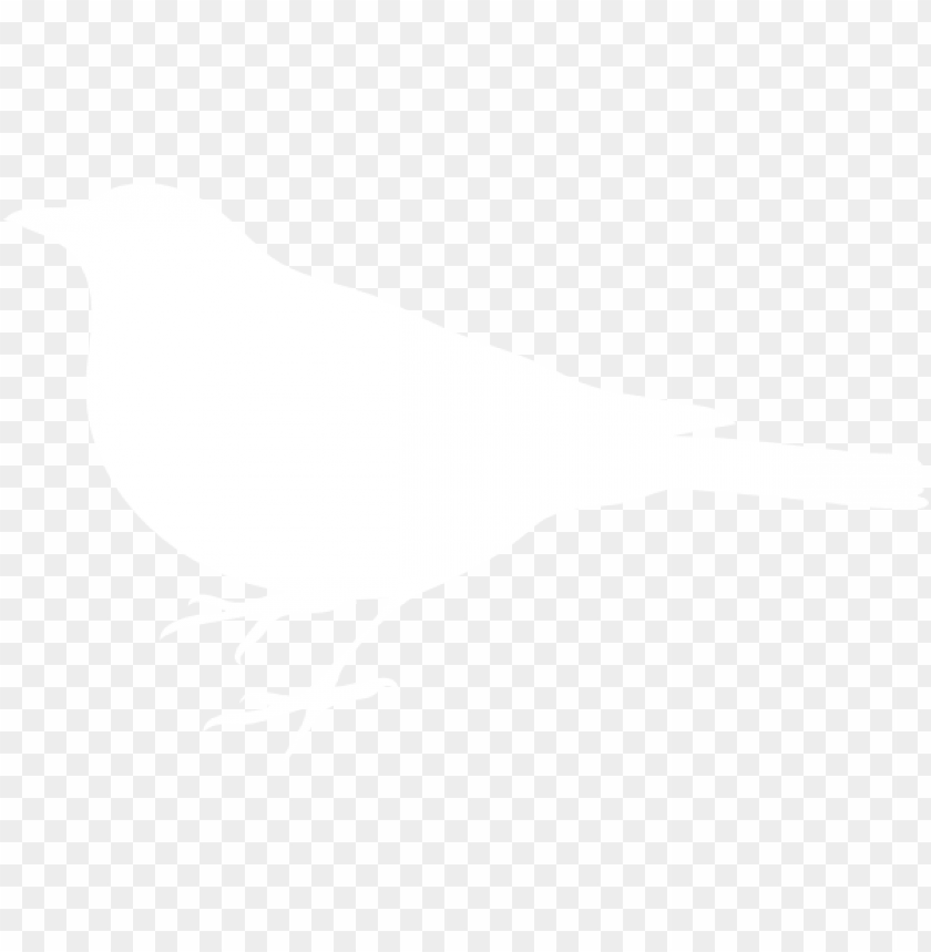 phoenix bird, twitter bird logo, big bird, bird wings, flappy bird pipe