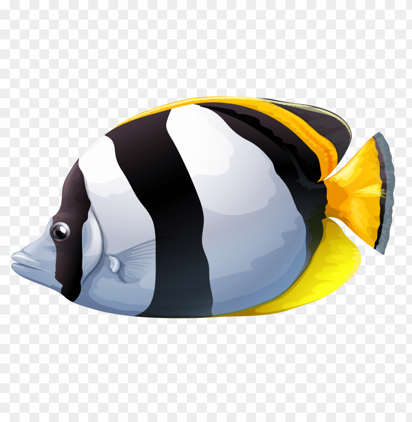 free PNG Download white chaetodon butterfly fish clipart png photo   PNG images transparent