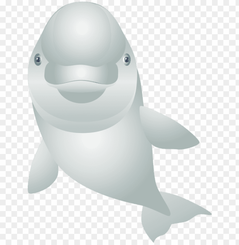 Download white dolphin cartoon transparent clipart png photo | TOPpng