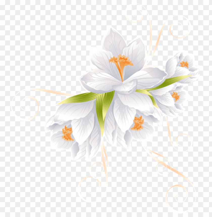 white flower decor transparent